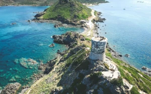 9e01f1f5-b715-40f6-87f7-76f50352e6d8