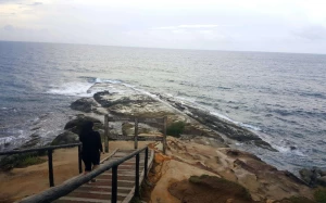 e5774d2e-ab85-4176-958e-f34c08b97896