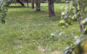 1aae263d-62db-4d9b-895c-107e530a8920