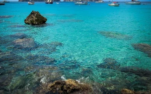 66475938-213e-41c5-a6f0-5705190bb0a1