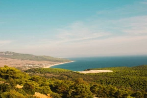 cda37582-dd3d-4624-b6c6-afbff9e45d92