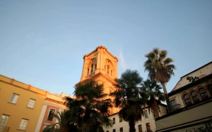 8bc5612a-71c7-462c-8bad-7a0c2ba3228a