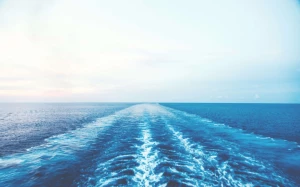 7fd8f45b-78d3-4a47-a6b5-a240b2aabb48