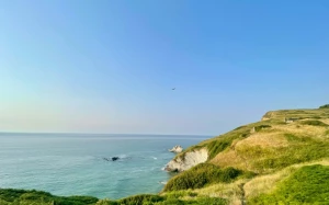 629d6dc9-62b7-4ed8-bc44-71a2a9e18027