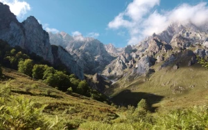 53874594-d2ea-4ae0-83de-4df5bbb16ddd