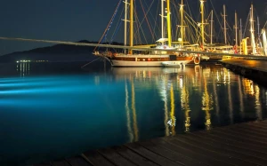 bcd36fe4-3abd-4628-949d-8ab035f351f5