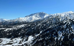 dfa55f73-808a-447b-84f4-e9094cf5a164