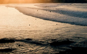 3f628f31-f5fa-4278-967d-af7f27ebcf3b