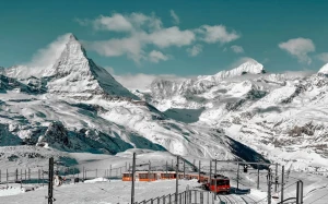 c45266c8-5587-4223-96cc-dbcd2c4e321a