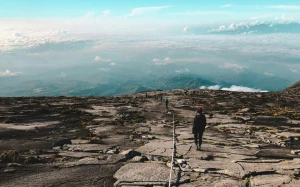 ebeaadbd-9cc2-4370-85da-6312eae9bcf9