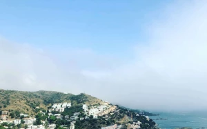 d0fa4fef-236f-4735-9d65-e88521835513