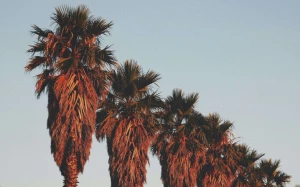 0a843732-7771-4bc7-a7f9-7c8348e507f6