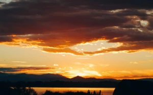 2c4acee1-fa90-4e8a-9630-0eaf7ae13e45