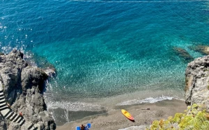 c18e1a9c-12c5-4337-933c-9f51c8f581bd