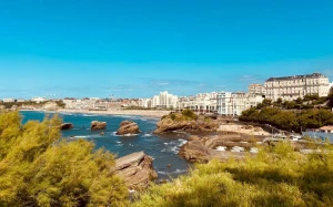 cf33fb4a-5534-410e-9adf-c6ca78e8c9b6