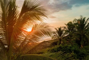 d2777c9c-ffed-4e4a-8c5f-755bbdaf1d7f