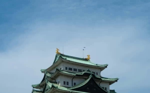 e80c3c3c-f10d-4e0b-afbd-c0a7256ebe97