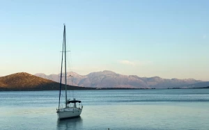 c03a55b4-f4a5-4a6a-9655-e457f96ecb44