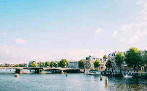 935e99e3-be46-4a77-8b5b-22d0e1c66538