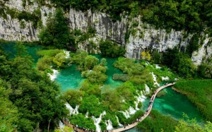 fc462abf-22b7-4ad6-b897-b28c8c410136