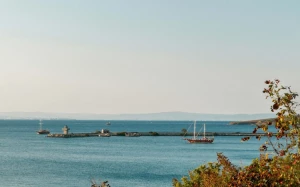 eeabd65d-0573-432d-8e0d-7b22a97a854a