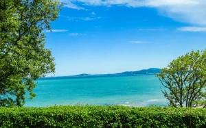 7561a670-4dea-4131-951c-6802997bc621