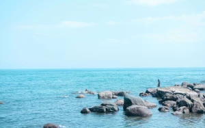 bcdfb71a-04a9-43db-aad7-1574ee116a0d