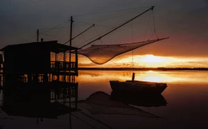 1809efa0-a64b-469f-88b5-218433eac28f