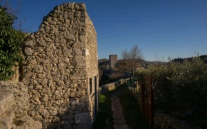 4848ea0b-2b38-48aa-9bd8-6f9a07680c34