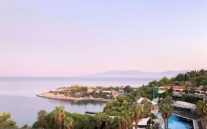 2dec76a6-7f4d-4eae-9149-84a17782cf93