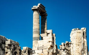 c792ece9-0636-478e-a096-8c4a40d6d012