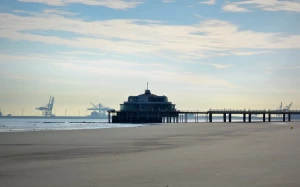 e41e2e53-f7d5-482e-a2c8-c3140fccdd87