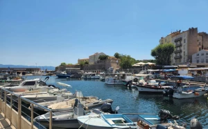 17955879-1ac5-4d70-a9a0-d204cb4dc01d