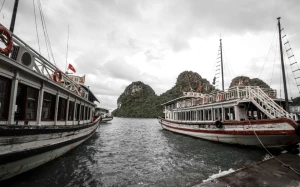 3af52f04-cb35-4cc0-97e2-66fd6b89637e