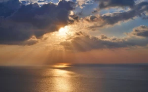 e98f2dee-7240-474e-b681-6b0c8f15842a