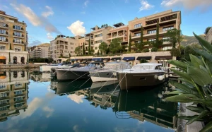 9351b980-fed0-4c0e-af6f-9d799f150733