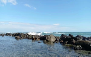 45e14b6a-2a57-420a-b83d-8ba4e5c16c7d