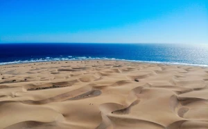 d2113289-5944-4403-852f-13bc2734ae3e