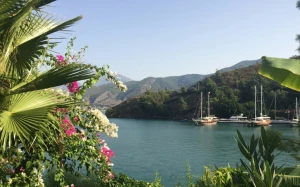 80ae9822-c618-4a2d-9ece-9f7cf0d8902d