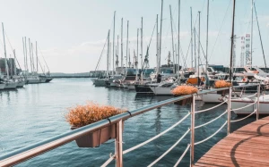 e17140ca-84d0-4b10-ad81-29510006c403