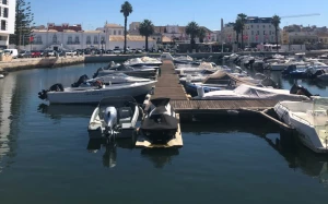 161fab3c-593e-4c52-9f5f-4045a64c1dc8