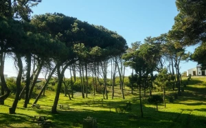 49ec9bf5-7bfd-44d2-a6cd-681a8536c61a