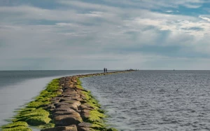 97920589-a088-49bd-95eb-6fd83f3662f6