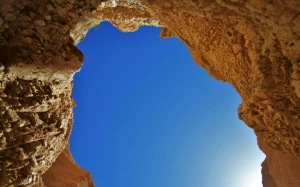 ab61e858-fc17-4b4f-945a-8fdef9734678