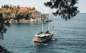 d3b481d2-80bf-45a8-bc51-9d1234eb3a4a