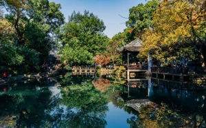 4509c7bc-1c63-42b3-8e05-eaff221c6019