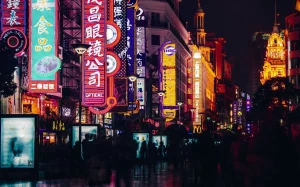 e8bb5ed5-cffb-4310-995f-4f710c0b7e58