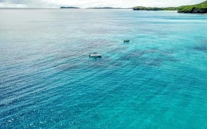 085f1f80-6411-4dc8-a9c5-d387514ca3af