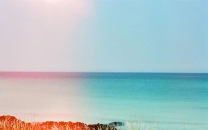 6e656ca1-e681-4cb8-9bc2-7967e497172f