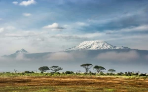 72fbc453-8f95-4144-befc-4efaba55451f